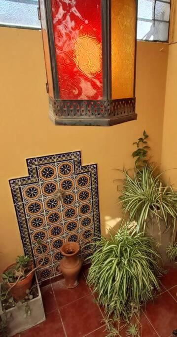 ¨Las Mayolicas¨ Hermoso Depto Con Patio Espanol Мендоса Экстерьер фото